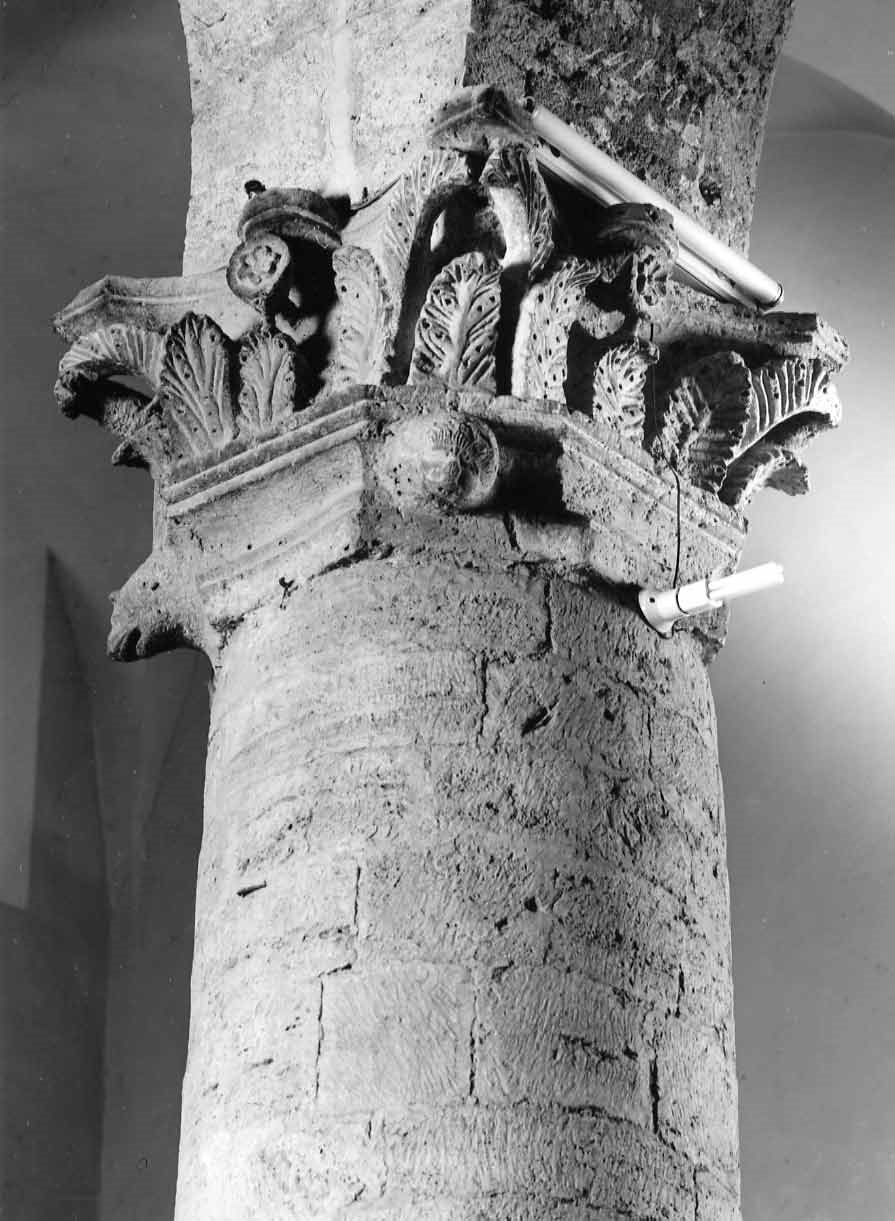 motivi decorativi vegetali e animali (capitello, elemento d'insieme) - bottega umbra (fine sec. XII)