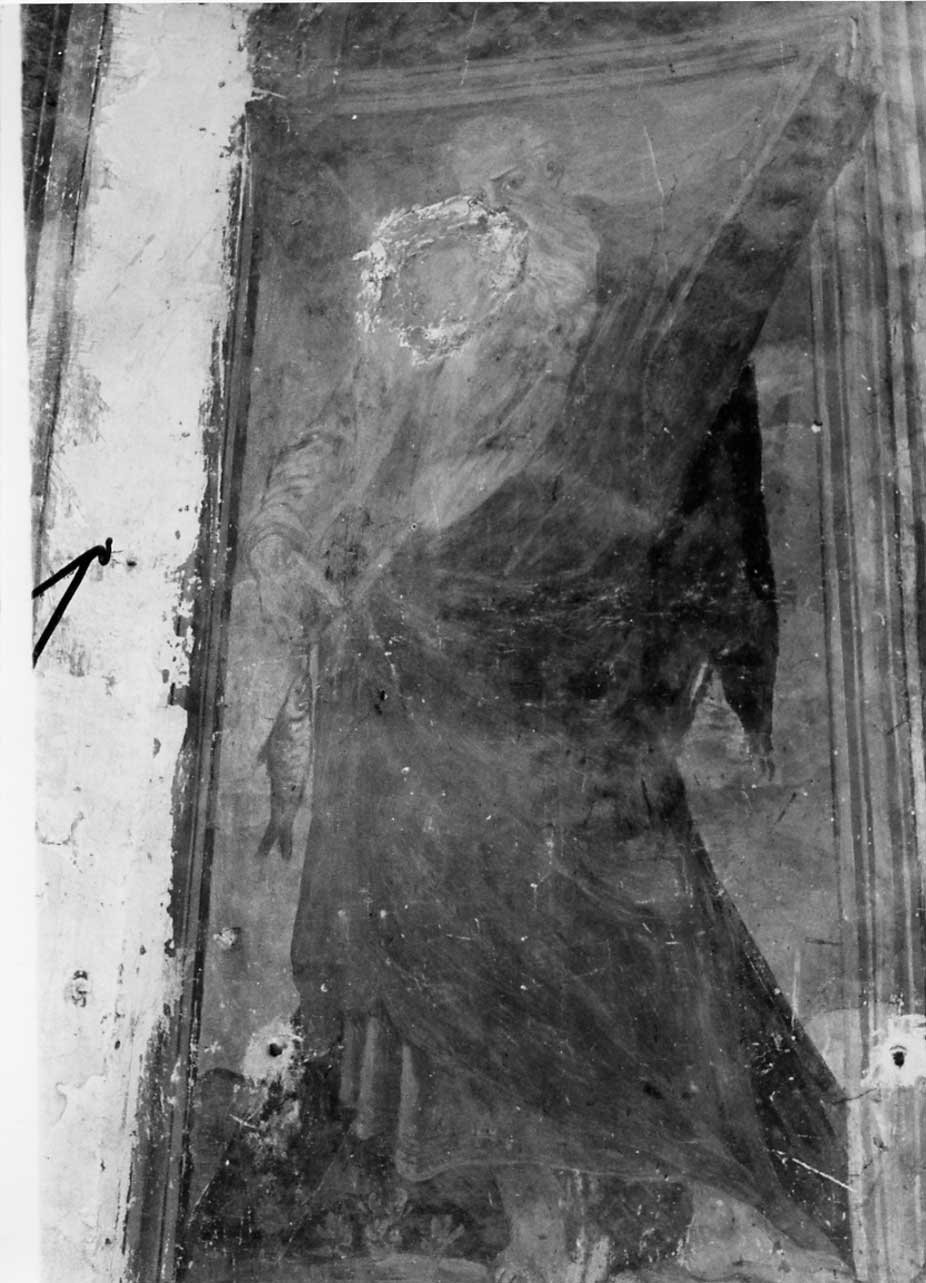 Sant'Andrea (dipinto, opera isolata) - ambito Italia centrale (sec. XVII)