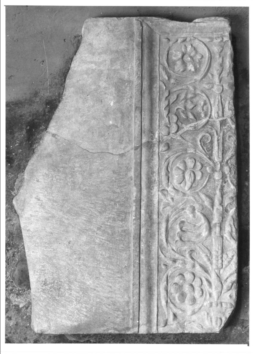 motivi decorativi a girali vegetali (rilievo, frammento) - bottega Italia centrale (fine sec. XV)