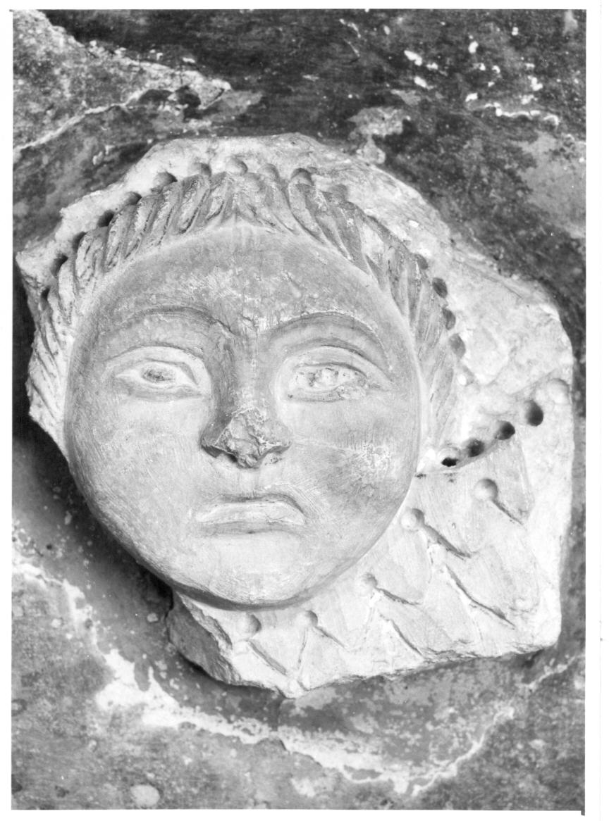 testa (rilievo, frammento) - bottega italiana (sec. XII)