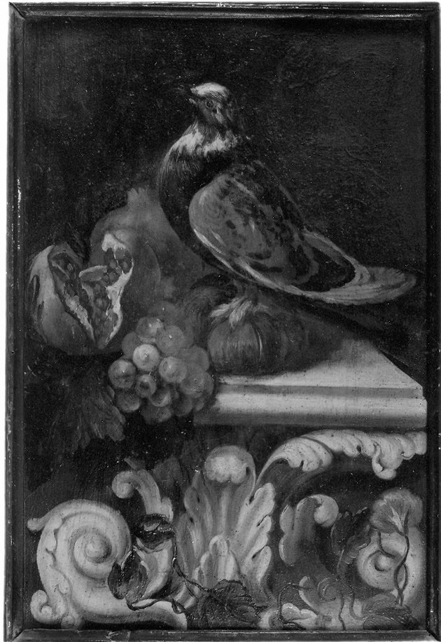 natura morta con un volatile e frutta, natura morta (dipinto, serie) di Giuli Nicola (attribuito) (sec. XVIII)