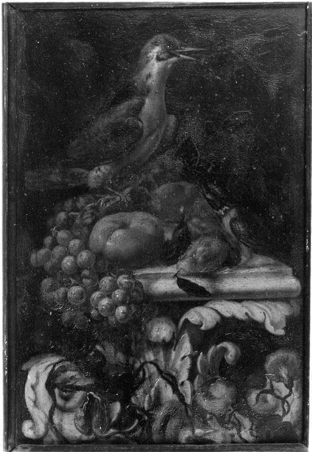 natura morta con volatile e frutta, natura morta con frutta (dipinto, serie) di Giuli Nicola (attribuito) (sec. XVIII)