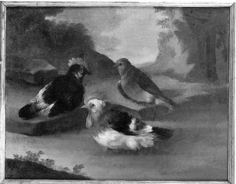 paesaggio con uccelli (dipinto, opera isolata) di Giuli Nicola (attribuito) (sec. XVIII)