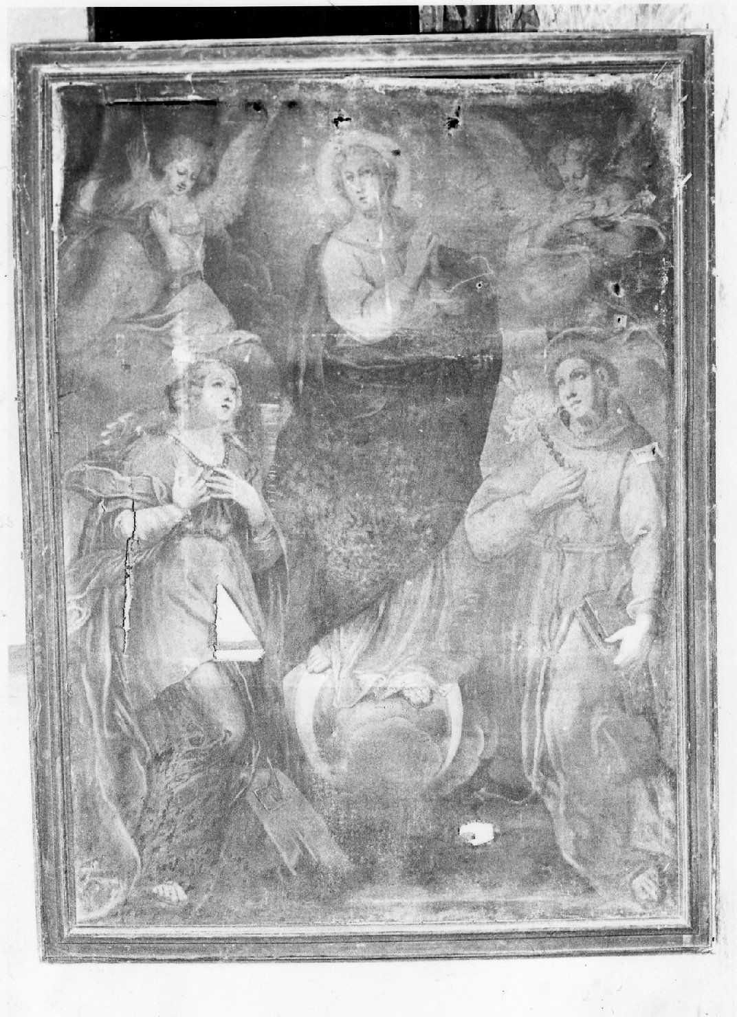 Madonna Immacolata e Santi (dipinto, opera isolata) - ambito umbro (sec. XVI)