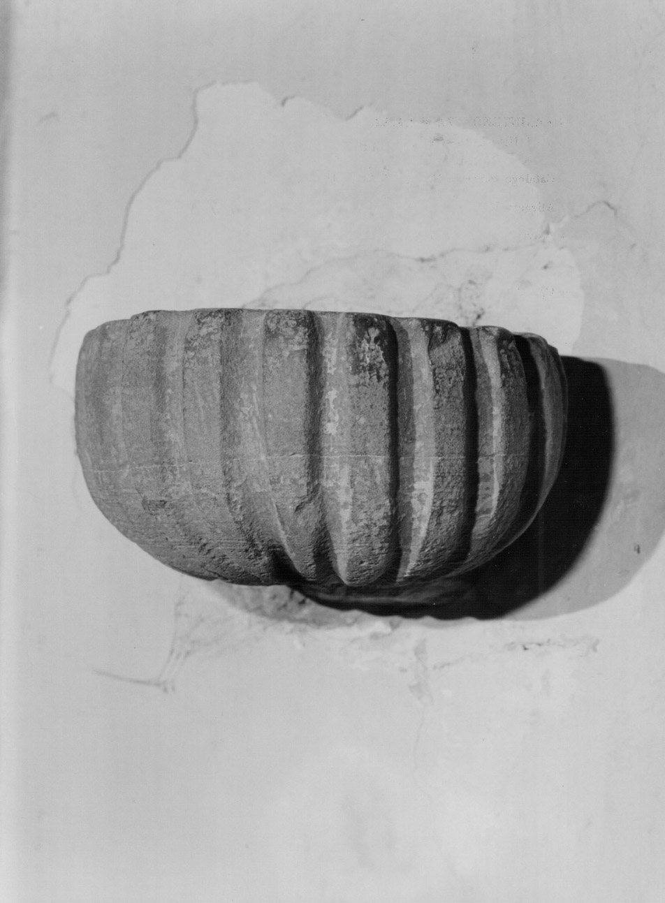 acquasantiera - a conchiglia, opera isolata - bottega eugubina (terzo quarto sec. XVIII)