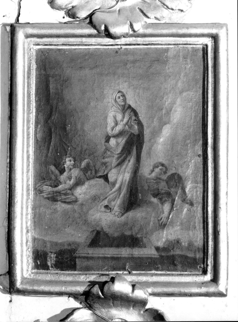 assunzione della Madonna (dipinto, complesso decorativo) di Reposati Giuseppe (terzo quarto sec. XVIII)