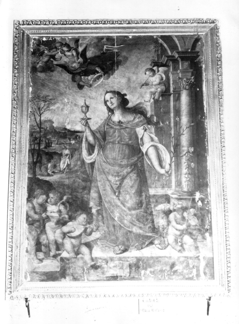 Santa Maria Maddalena (dipinto, opera isolata) di Viti Timoteo (primo quarto sec. XVI)