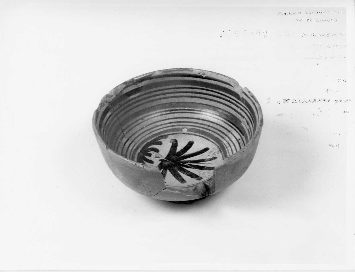 coppa, opera isolata - bottega italiana (seconda metà sec. XV)