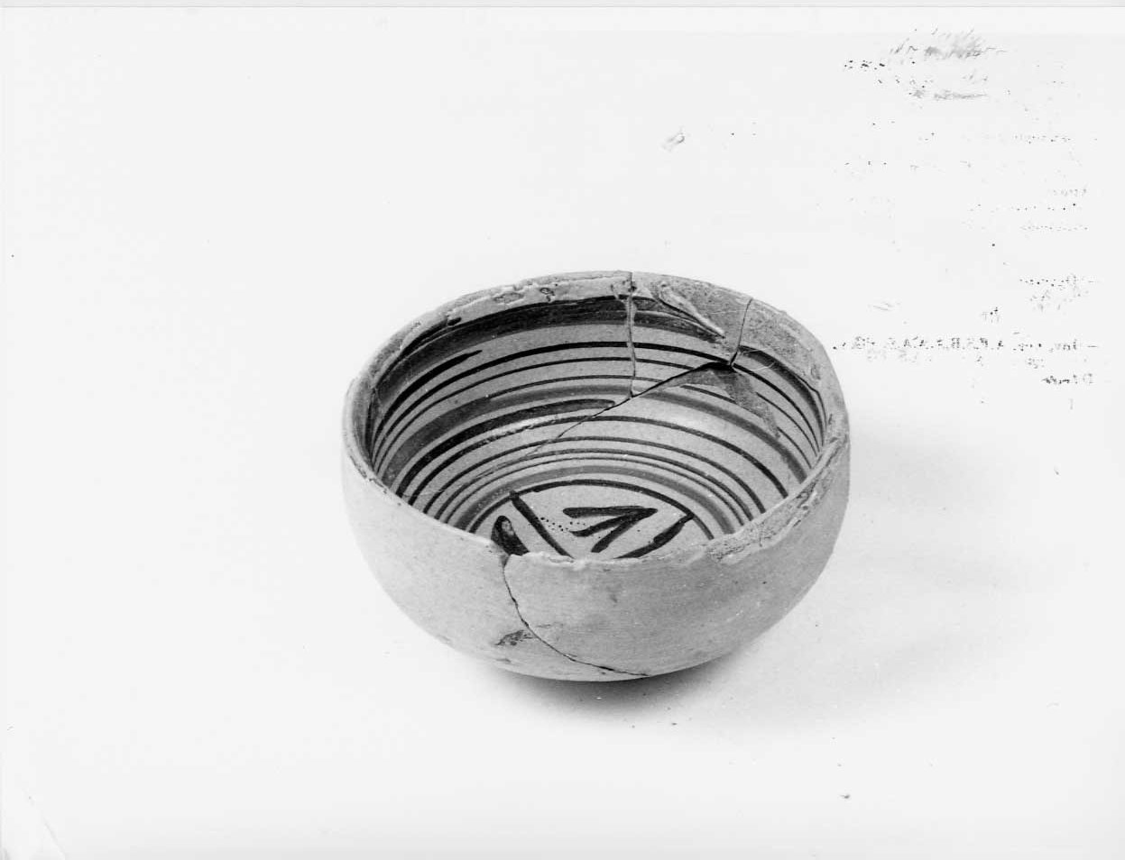 coppa, opera isolata - bottega italiana (seconda metà sec. XV)