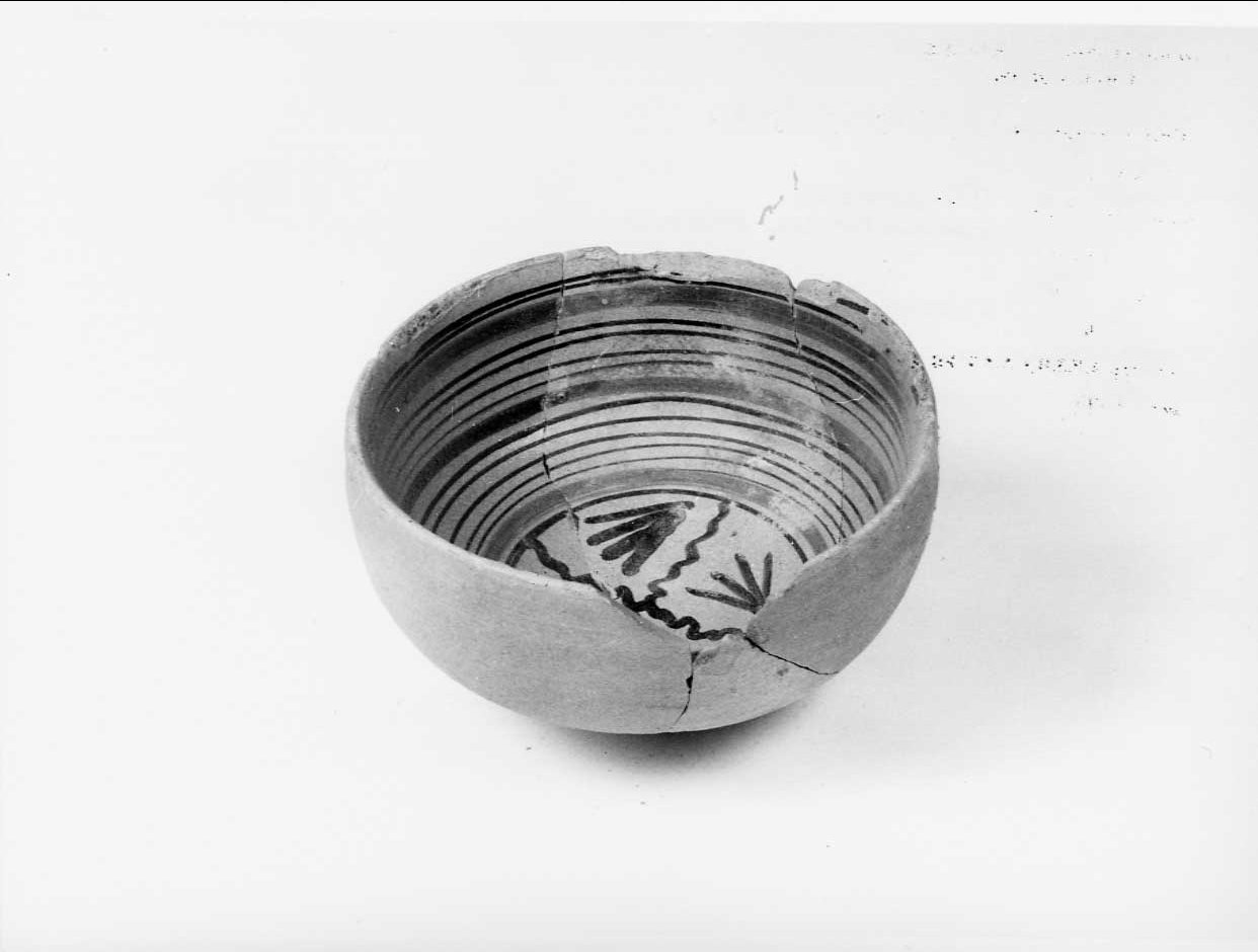 coppa, opera isolata - bottega italiana (seconda metà sec. XV)