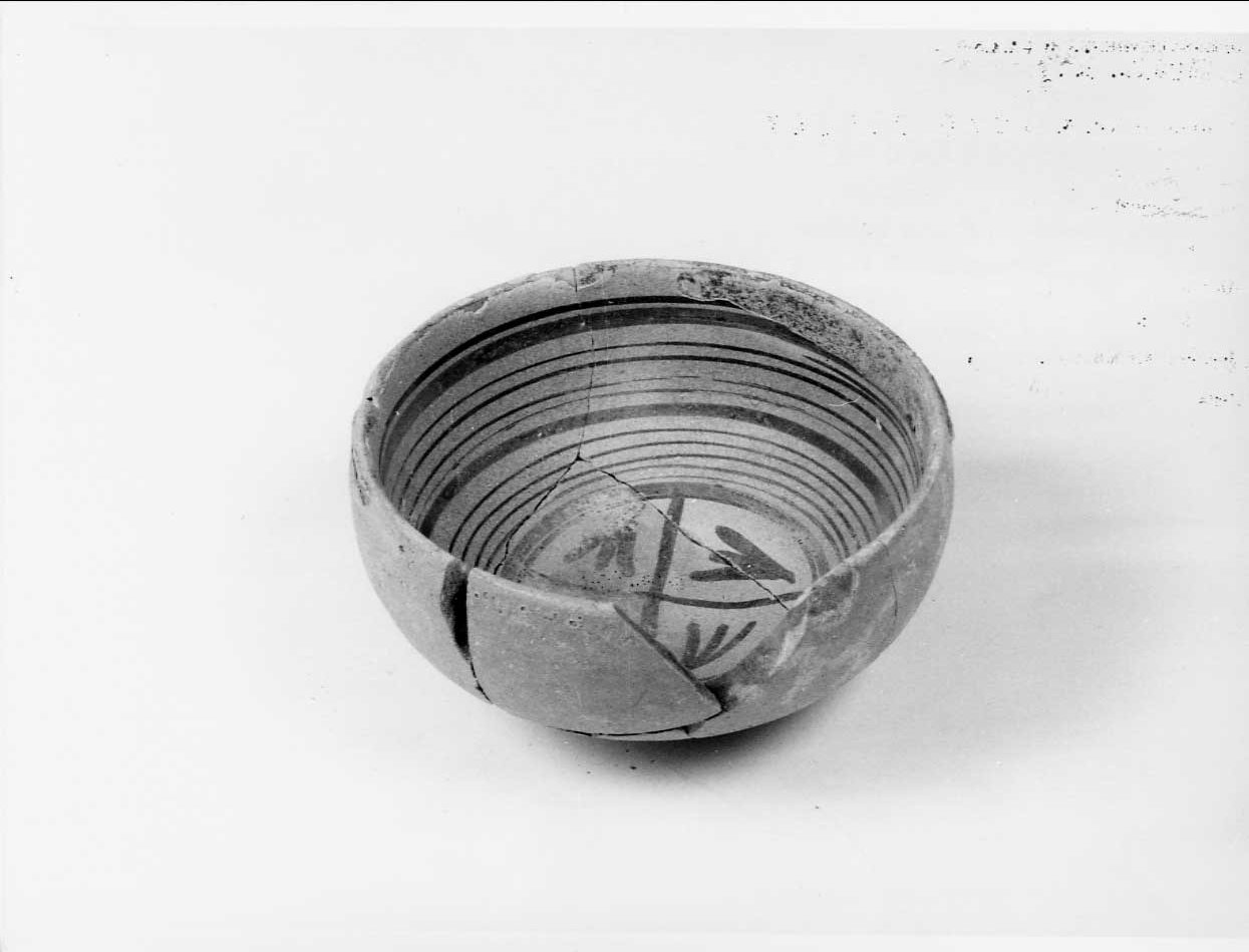 coppa, opera isolata - bottega italiana (seconda metà sec. XV)