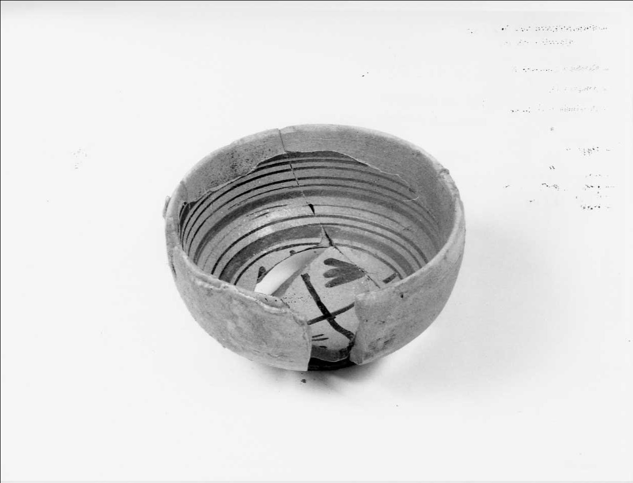 coppa, opera isolata - bottega italiana (seconda metà sec. XV)