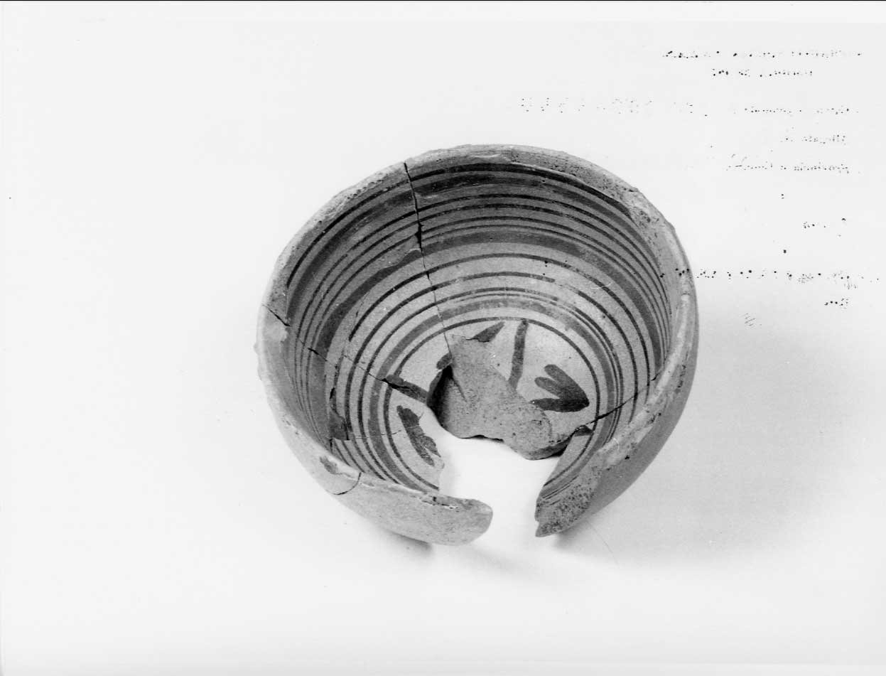 coppa, opera isolata - bottega italiana (seconda metà sec. XV)