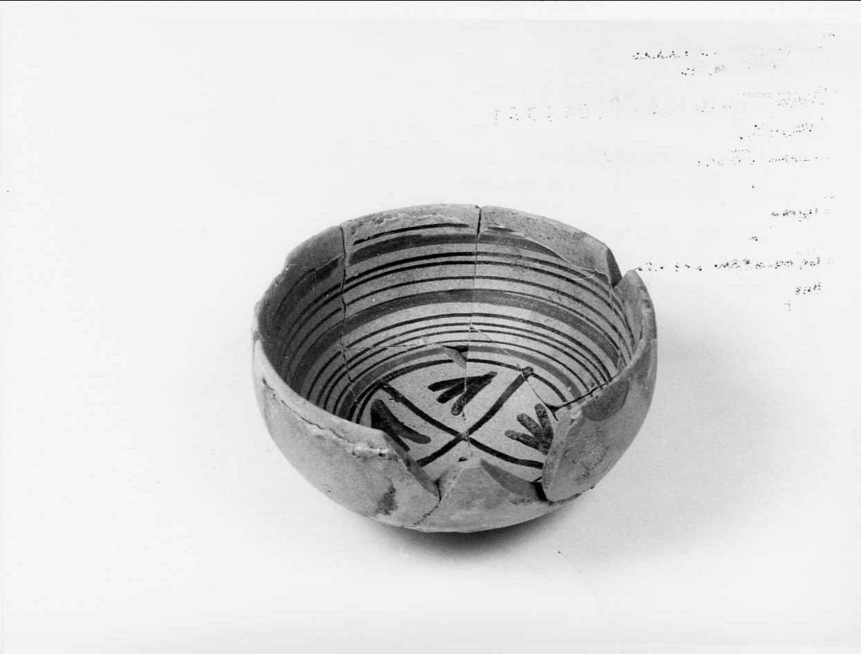 coppa, opera isolata - bottega italiana (seconda metà sec. XV)