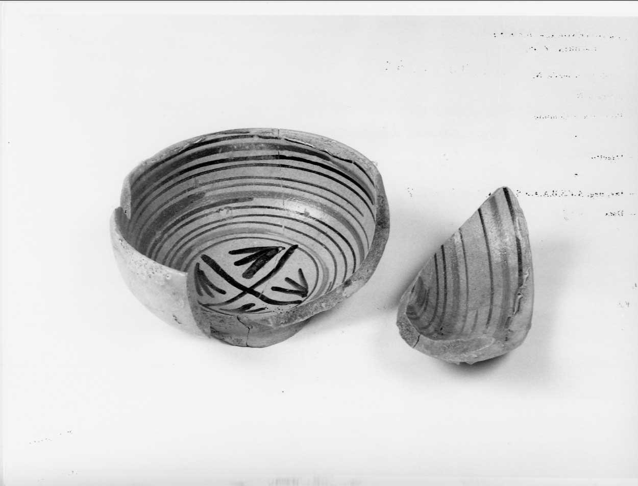 coppa, opera isolata - bottega italiana (seconda metà sec. XV)