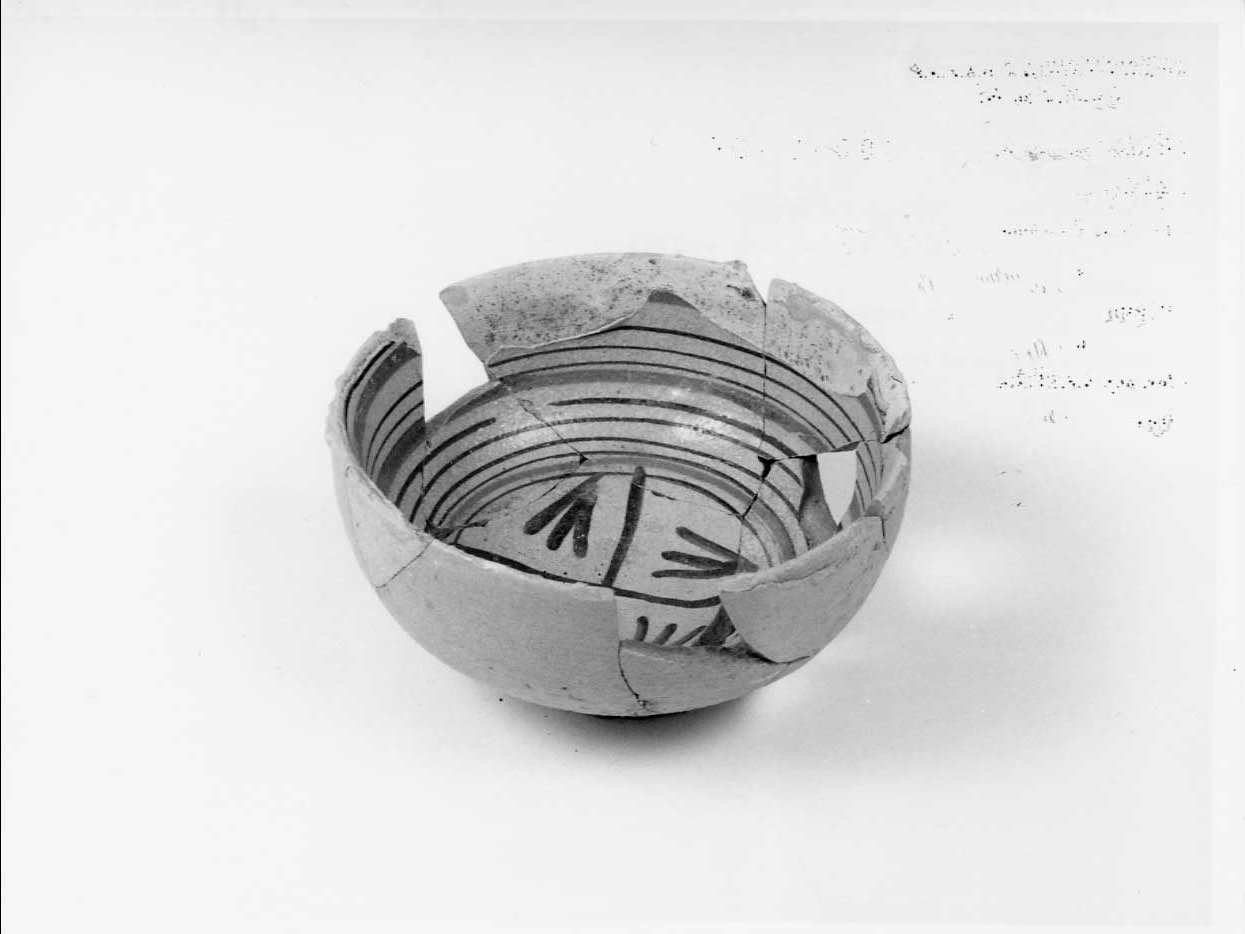 coppa, opera isolata - bottega italiana (seconda metà sec. XV)