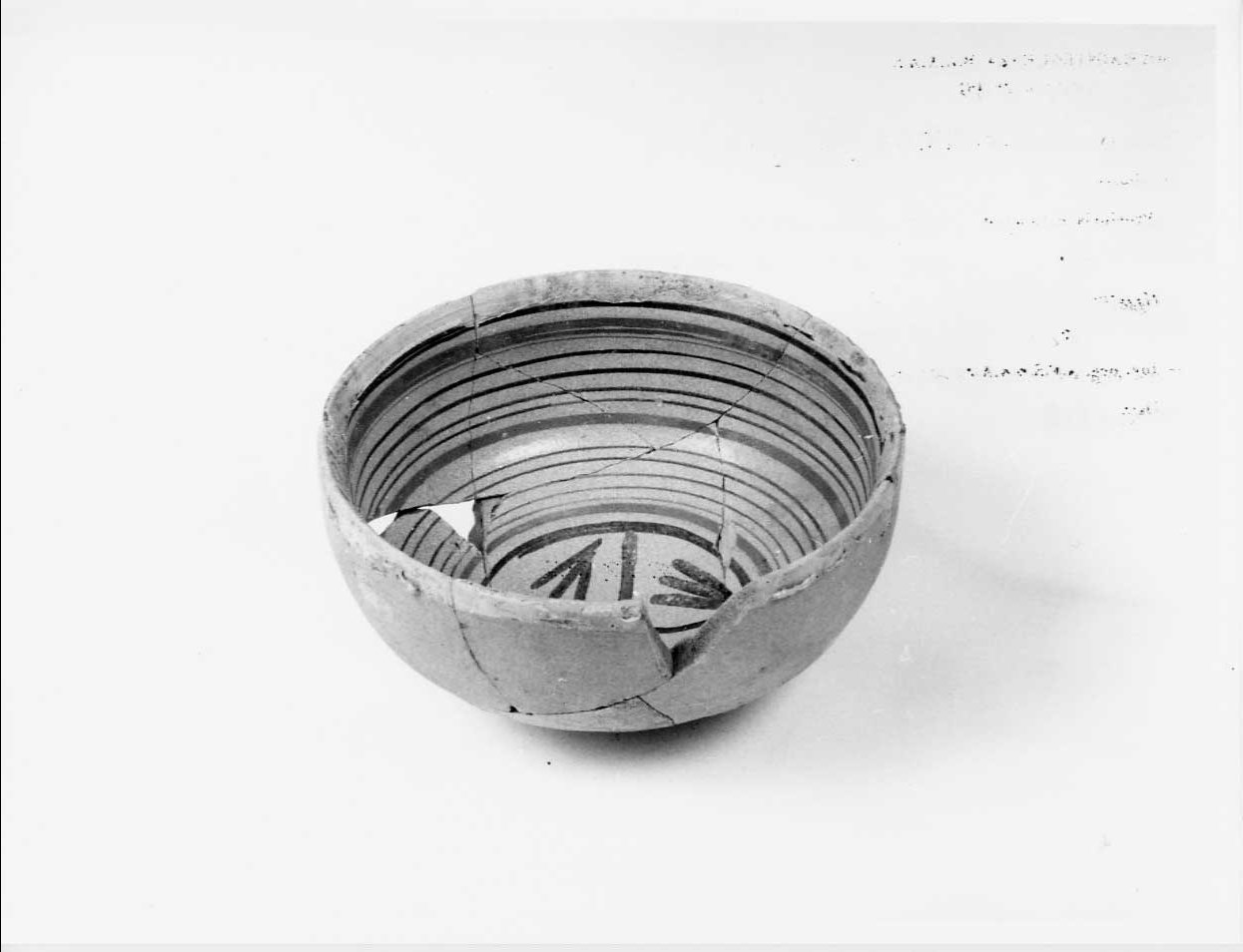 coppa, opera isolata - bottega italiana (seconda metà sec. XV)