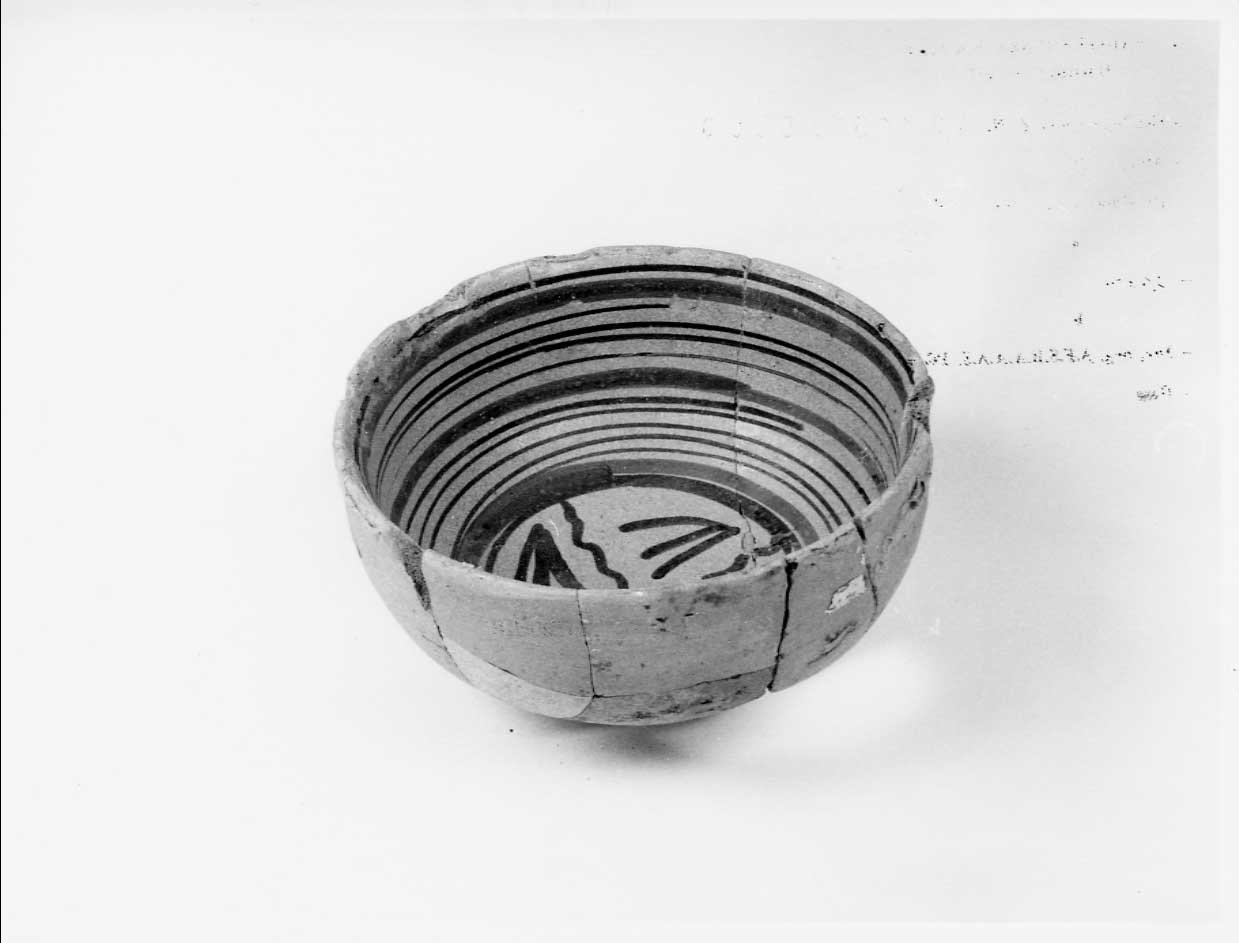 coppa, opera isolata - bottega italiana (seconda metà sec. XV)