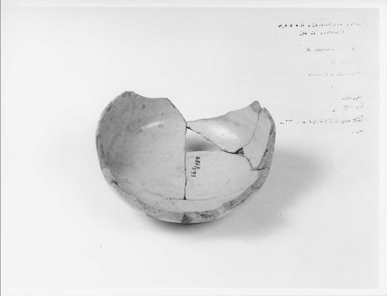 coppa, opera isolata - bottega Italia centrale (seconda metà sec. XV)