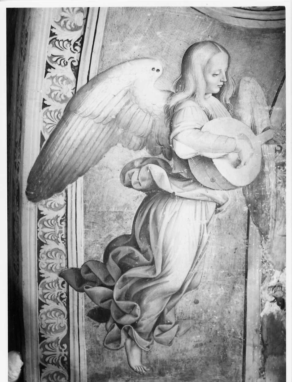 Un angelo musico (dipinto, complesso decorativo) di Signorelli Luca (e aiuti) (sec. XVI)