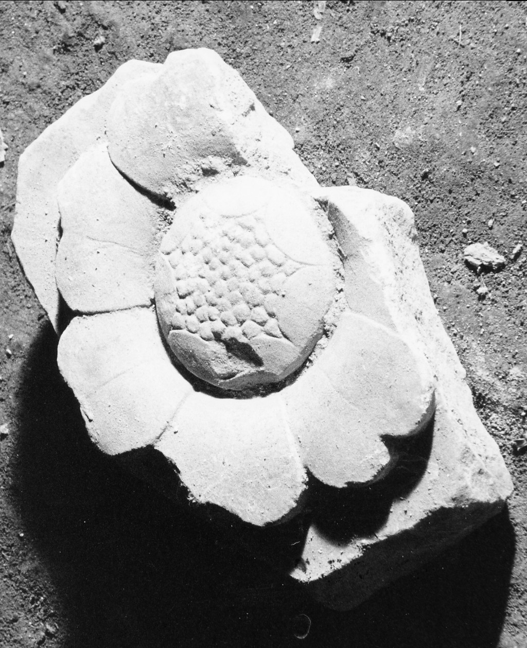 rilievo, elemento d'insieme - ambito umbro (sec. XVI)