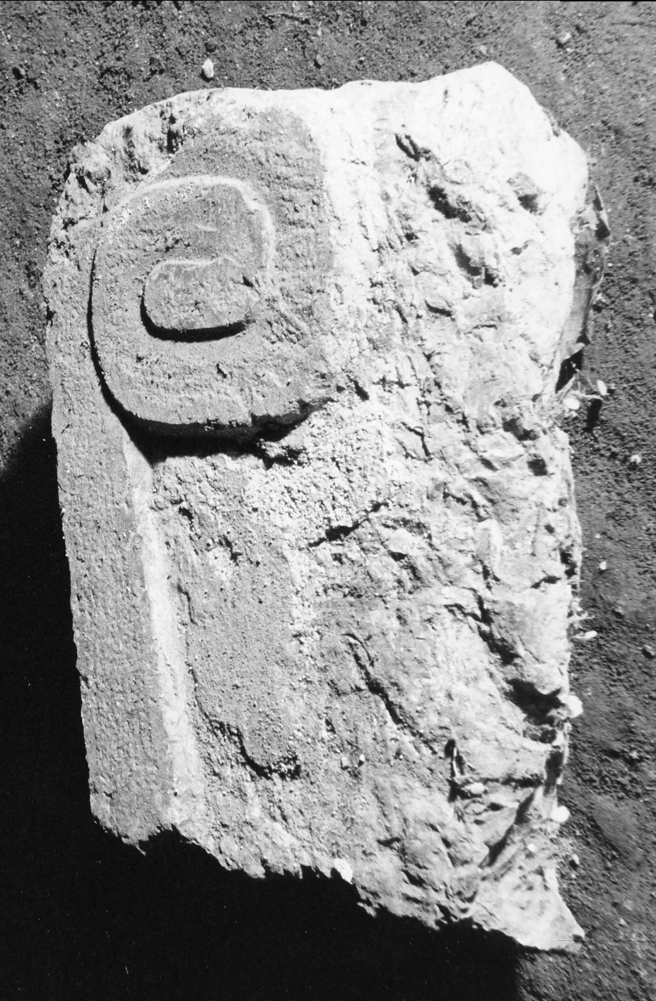 rilievo, elemento d'insieme - ambito umbro (sec. XVI)