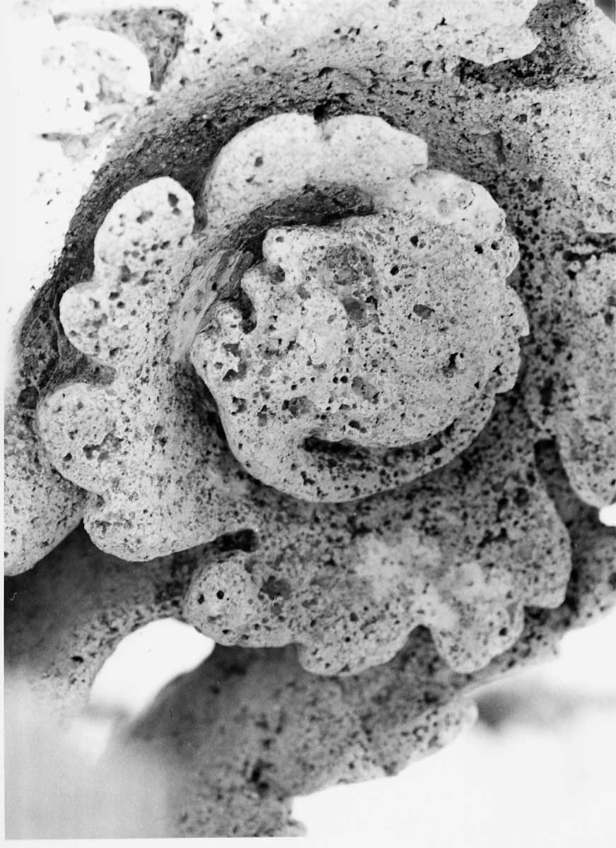 decorazione plastico-architettonica, complesso decorativo di Valadier Giuseppe (bottega) (fine/inizio secc. XVIII/ XIX)