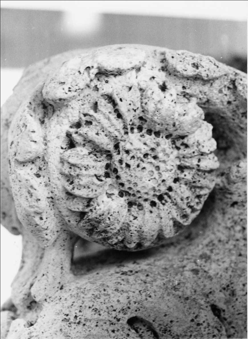 decorazione plastico-architettonica, complesso decorativo di Valadier Giuseppe (bottega) (fine/inizio secc. XVIII/ XIX)