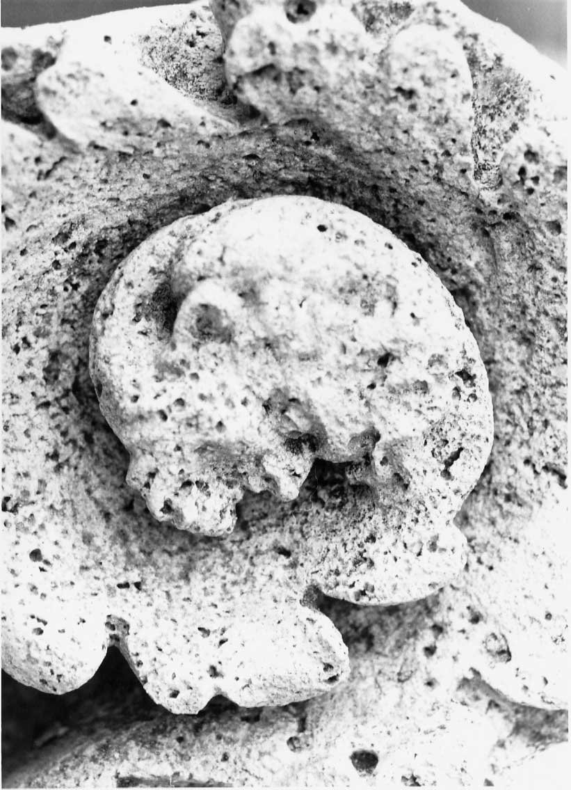 decorazione plastico-architettonica, complesso decorativo di Valadier Giuseppe (bottega) (fine/inizio secc. XVIII/ XIX)