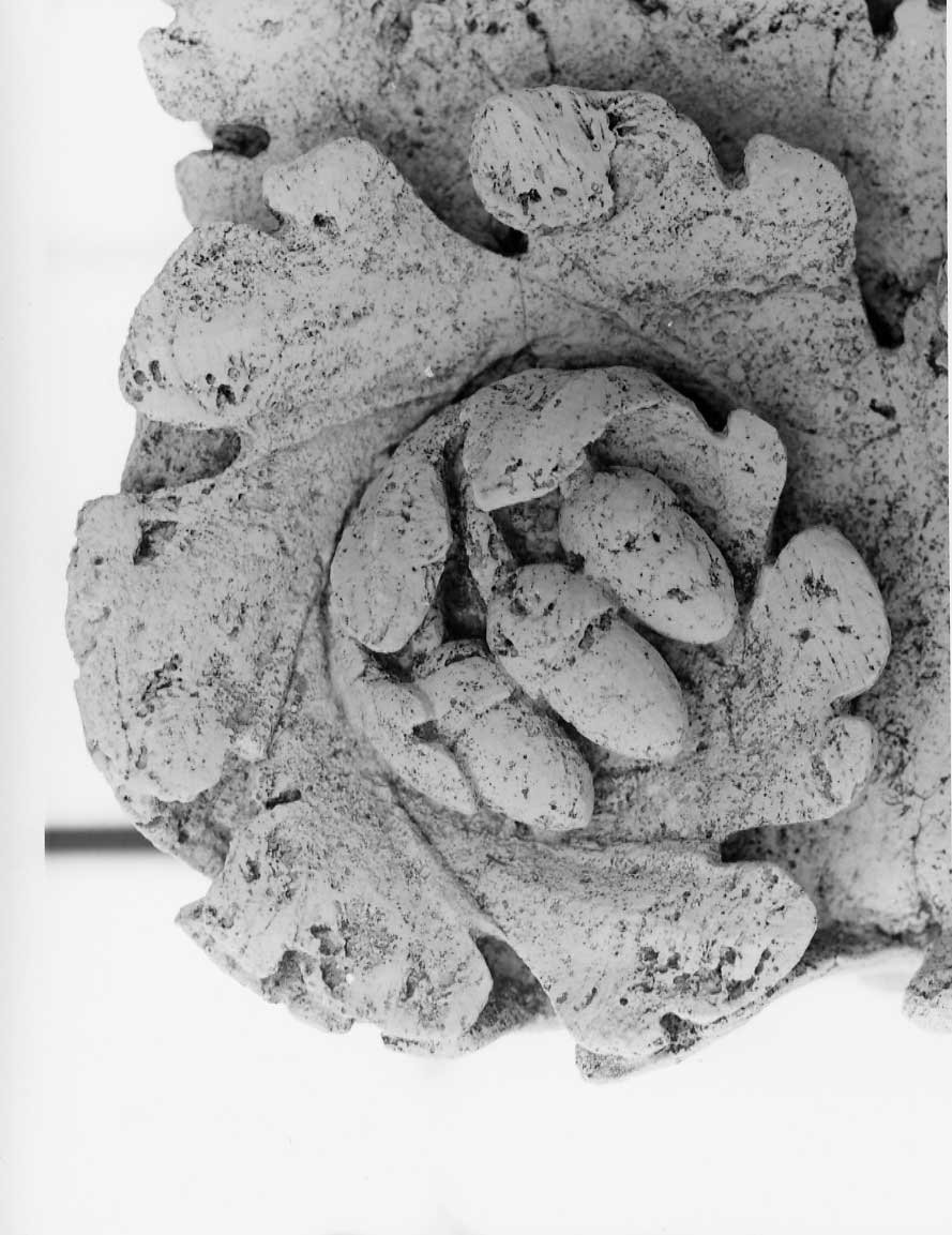 decorazione plastico-architettonica, complesso decorativo di Valadier Giuseppe (bottega) (fine/inizio secc. XVIII/ XIX)