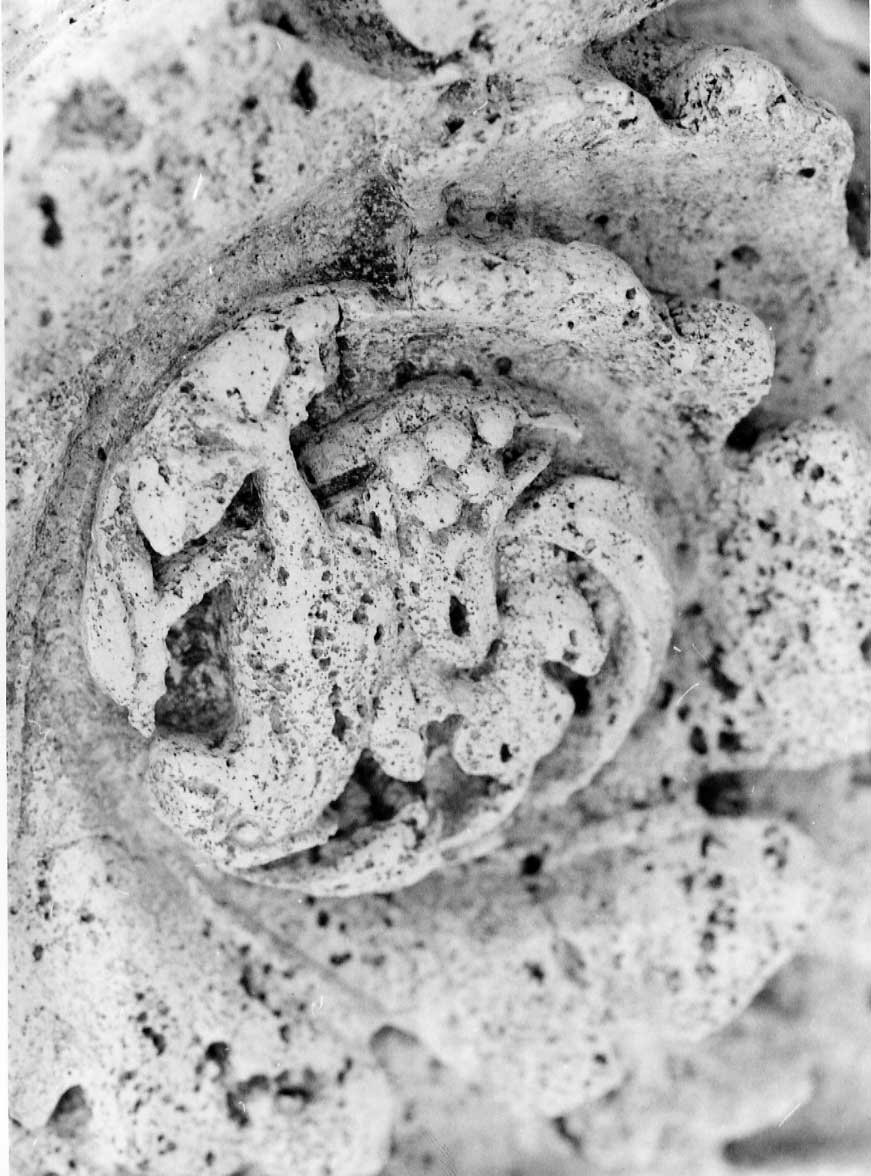 decorazione plastico-architettonica, complesso decorativo di Valadier Giuseppe (bottega) (fine/inizio secc. XVIII/ XIX)