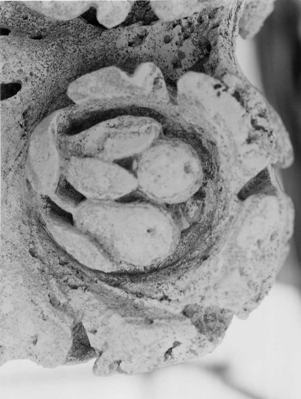 decorazione plastico-architettonica, complesso decorativo di Valadier Giuseppe (bottega) (fine/inizio secc. XVIII/ XIX)