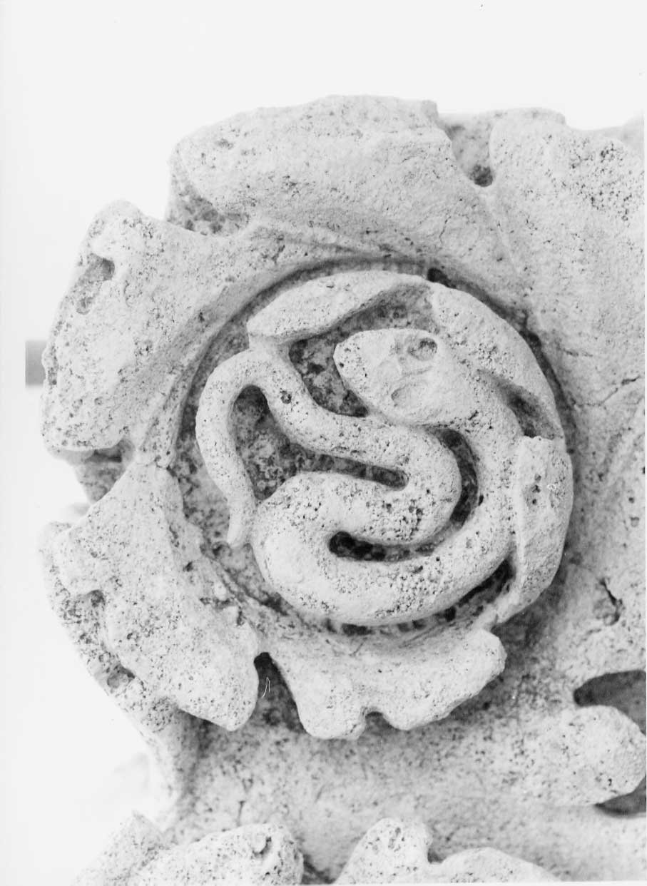 decorazione plastico-architettonica, complesso decorativo di Valadier Giuseppe (bottega) (fine/inizio secc. XVIII/ XIX)