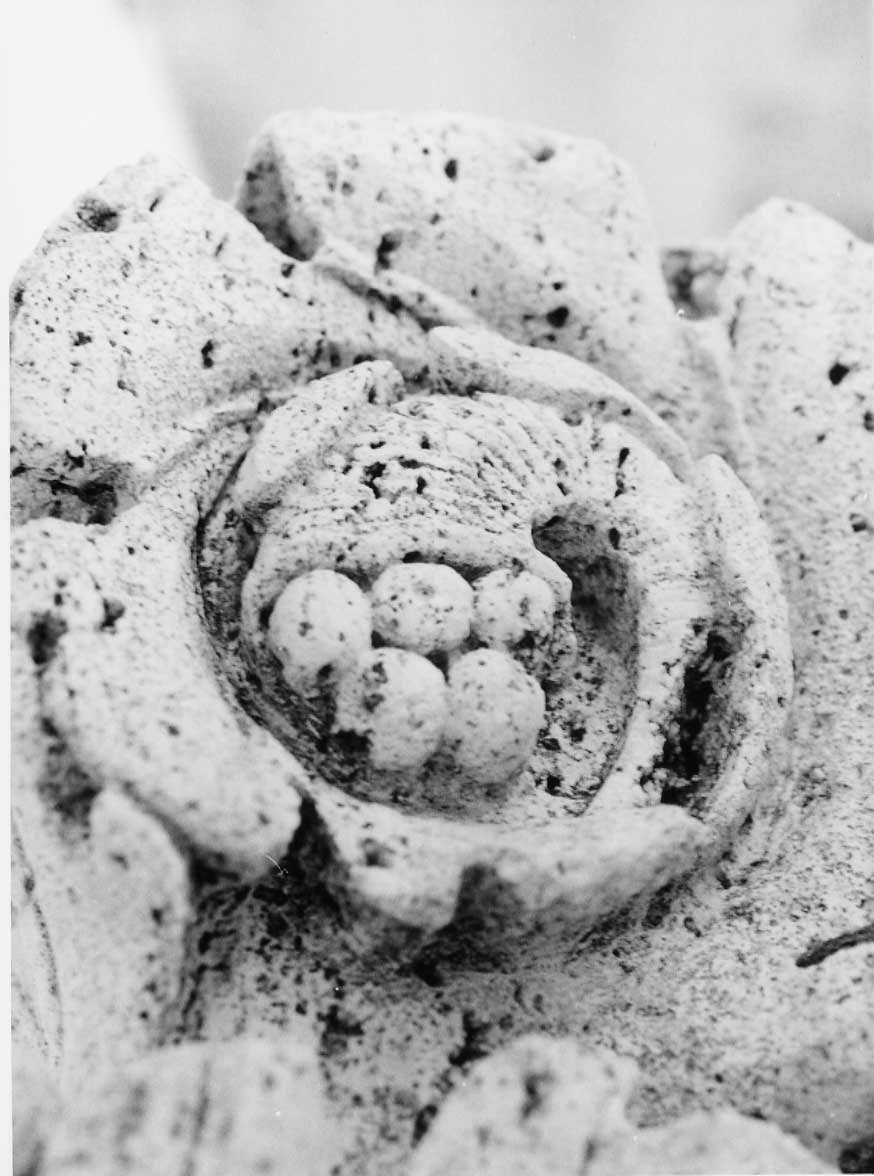 decorazione plastico-architettonica, complesso decorativo di Valadier Giuseppe (bottega) (fine/inizio secc. XVIII/ XIX)