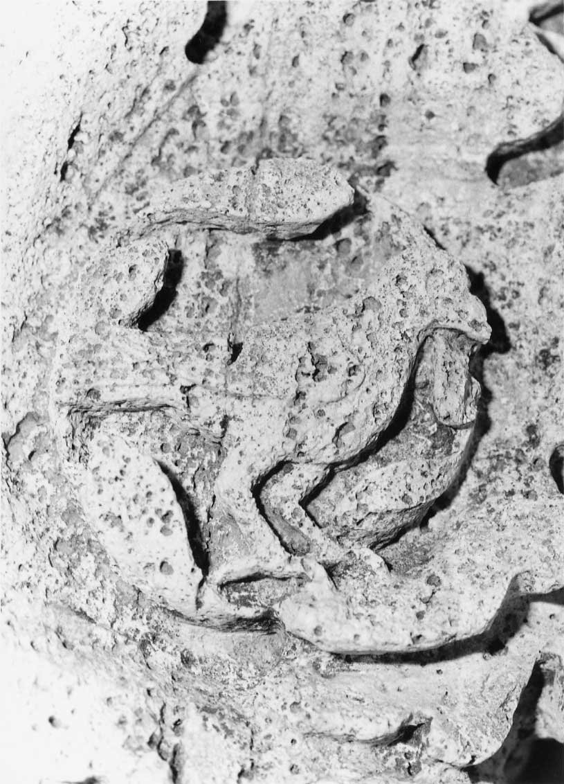 decorazione plastico-architettonica, complesso decorativo di Valadier Giuseppe (bottega) (fine/inizio secc. XVIII/ XIX)