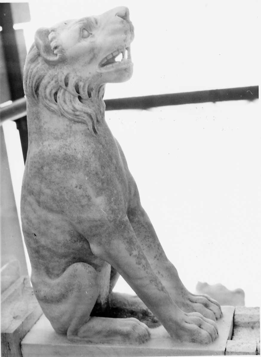 leone (doccione, complesso decorativo) - bottega Italia centrale (fine/inizio secc. XVIII/ XIX)