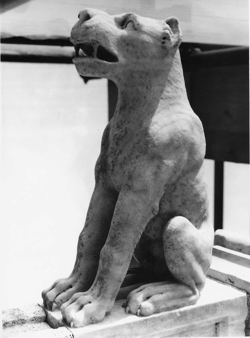 cane (doccione, complesso decorativo) - bottega Italia centrale (fine/inizio secc. XVIII/ XIX)