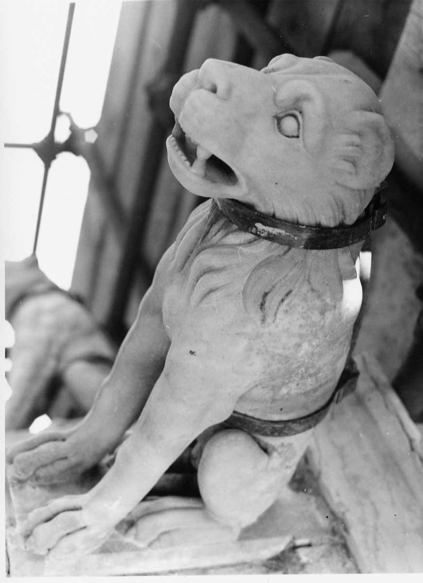 felino (doccione, complesso decorativo) - bottega Italia centrale (fine/inizio secc. XVIII/ XIX)