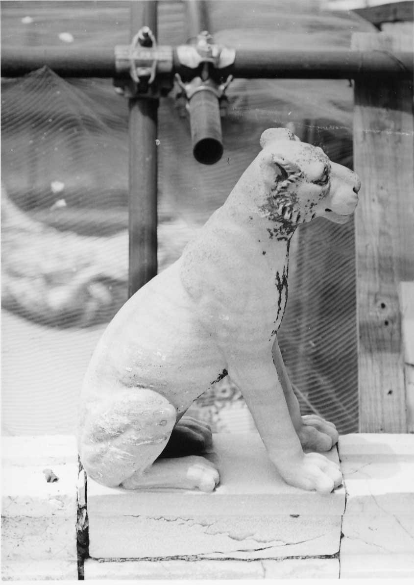 leone (doccione, complesso decorativo) - bottega Italia centrale (fine/inizio secc. XVIII/ XIX)