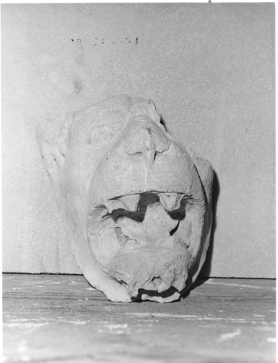 decorazione plastica, frammento - ambito orvietano (sec. XVI)