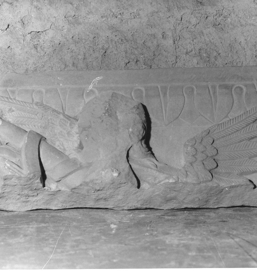 decorazione plastico-architettonica, frammento - ambito orvietano (sec. XVI)