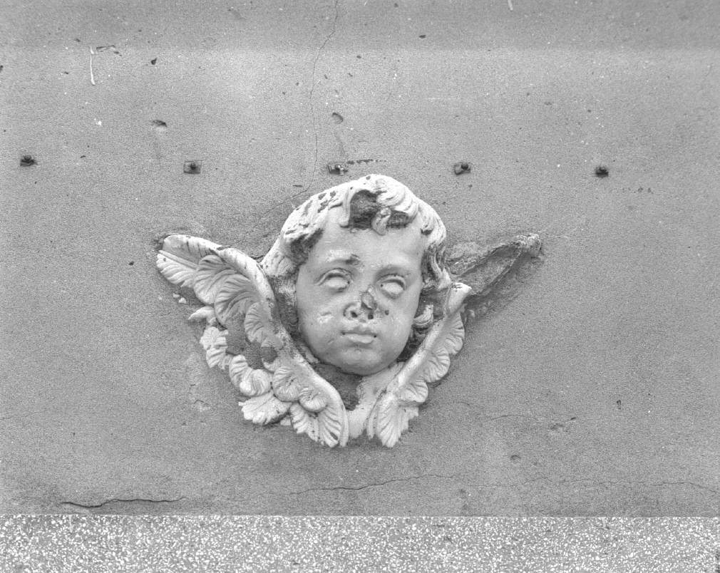 testa alata (scultura) - ambito veneto (sec. XVIII)