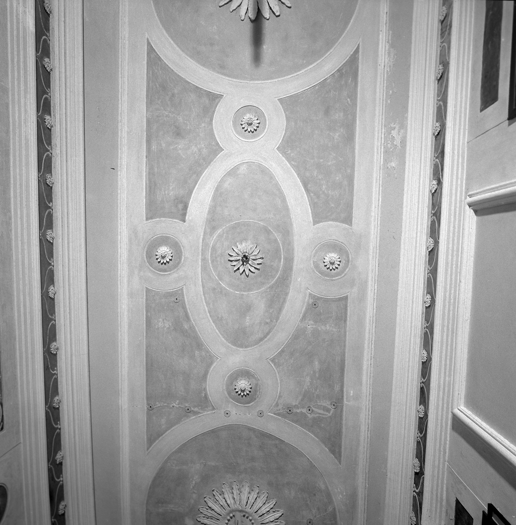 motivi decorativi vegetali (decorazione plastica) - bottega veneta (sec. XIX)