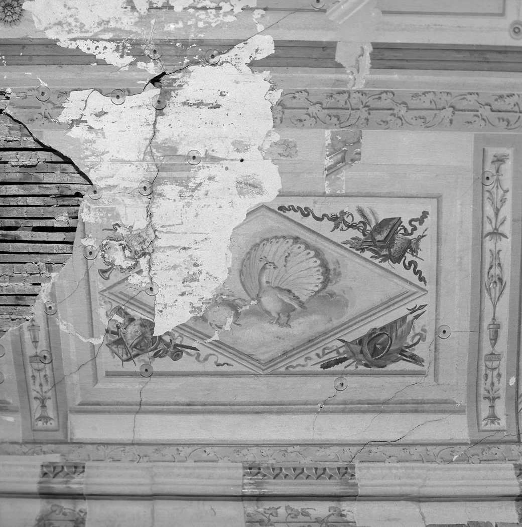 cancro (dipinto, elemento d'insieme) - bottega veneta (sec. XIX)