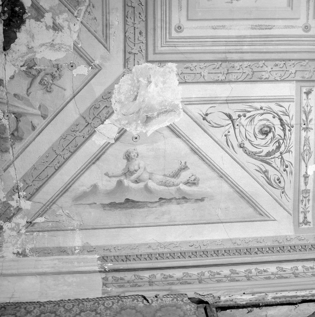 pesci (dipinto, elemento d'insieme) - bottega veneta (sec. XIX)