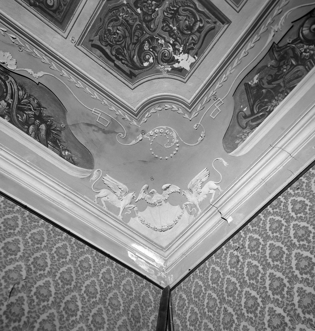 grifo (decorazione plastica, elemento d'insieme) - bottega veneta (sec. XIX)