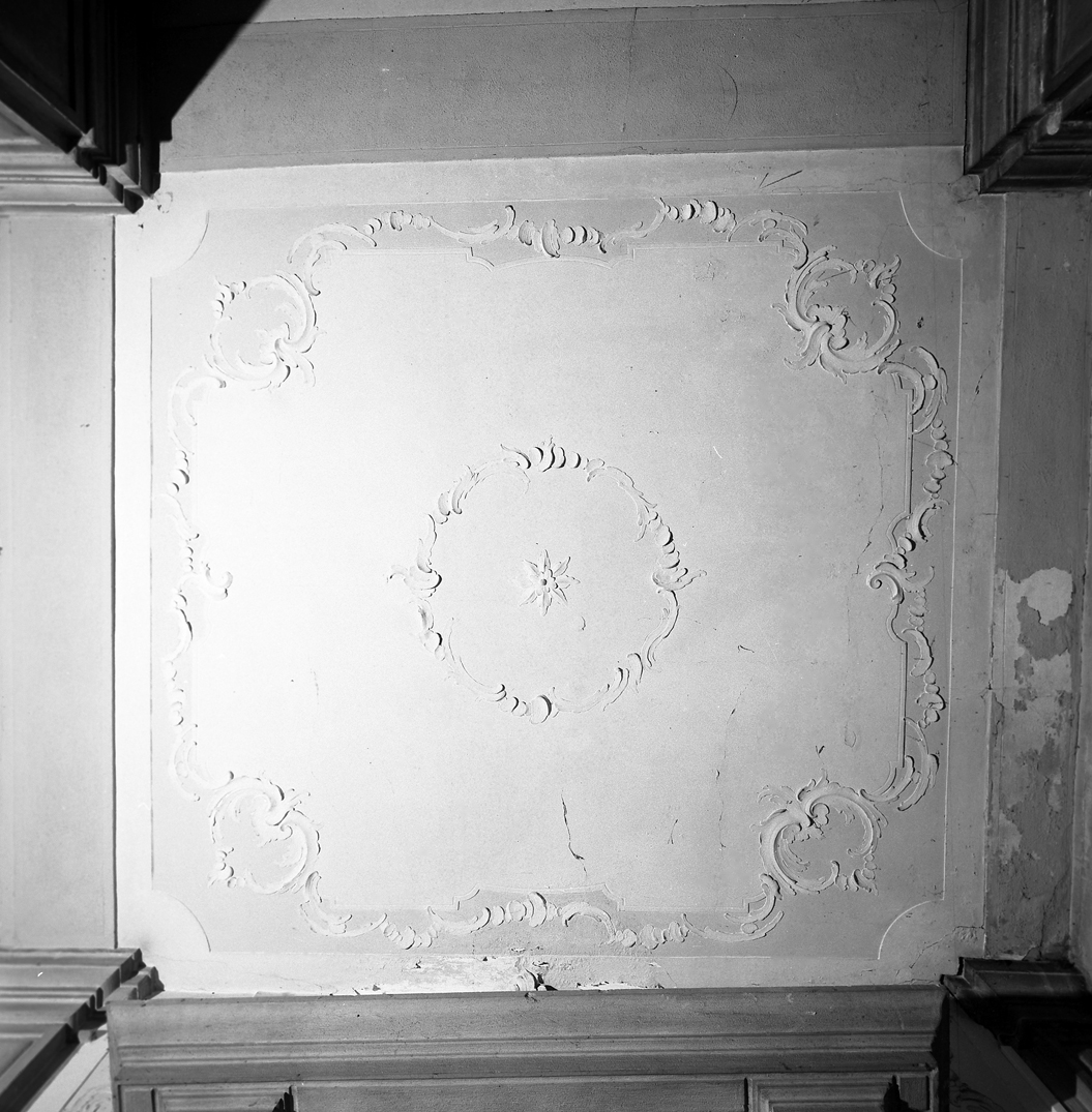 motivi decorativi vegetali/ motivi decorativi floreali/ motivi decorativi a volute (decorazione plastica) - bottega veneta (sec. XVIII)