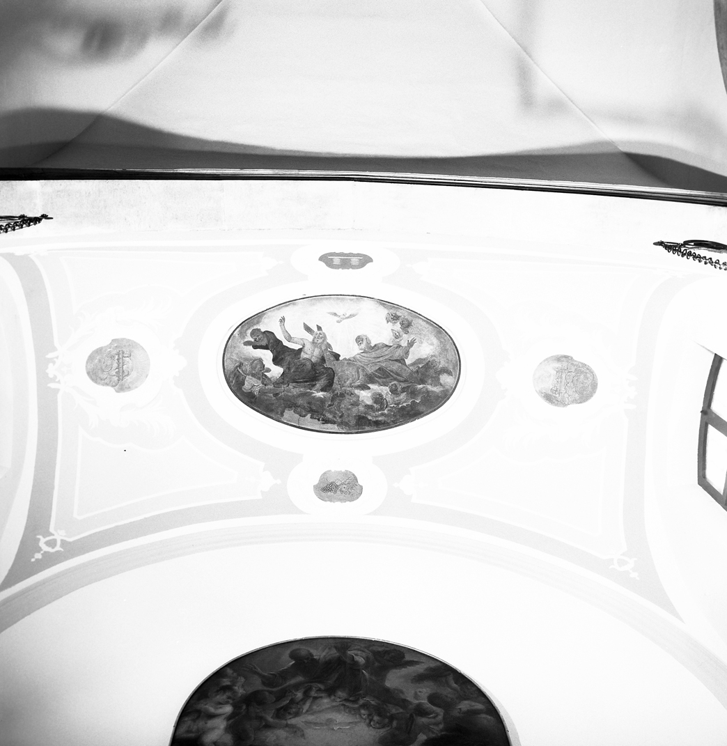 motivi decorativi vegetali (dipinto) - ambito veneto (prima metà sec. XIX)