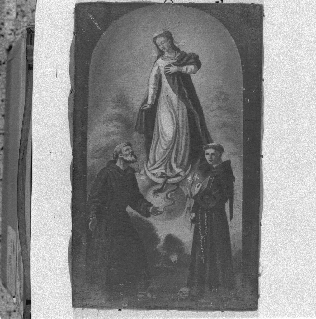 Immacolata tra Sant'Antonio e San Francesco, Madonna Immacolata e Santi (dipinto) - ambito veneto (prima metà sec. XIX)