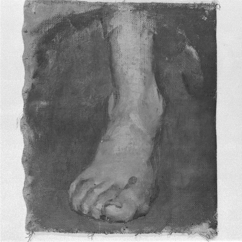 studio di piede (dipinto) di Naccari Aristide (fine/inizio secc. XIX/ XX)